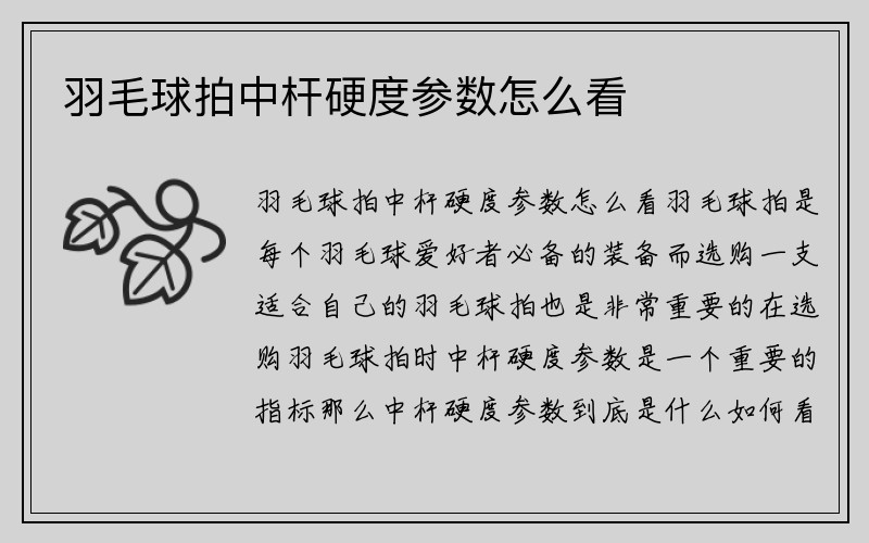 羽毛球拍中杆硬度参数怎么看